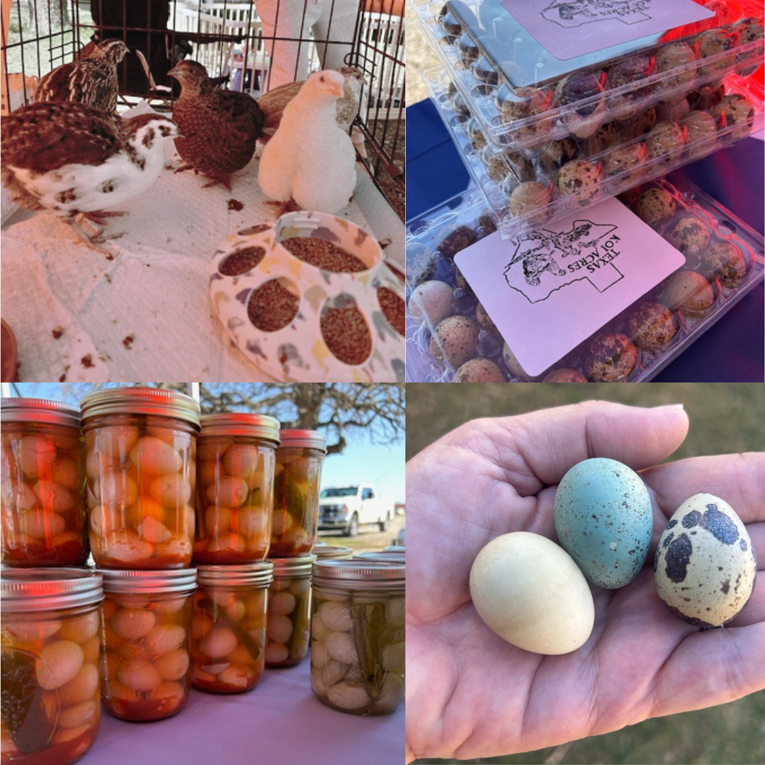 Eastland Farmer’s Market Facebook ad: Mid-March Musings at the Market, This Sunday in…