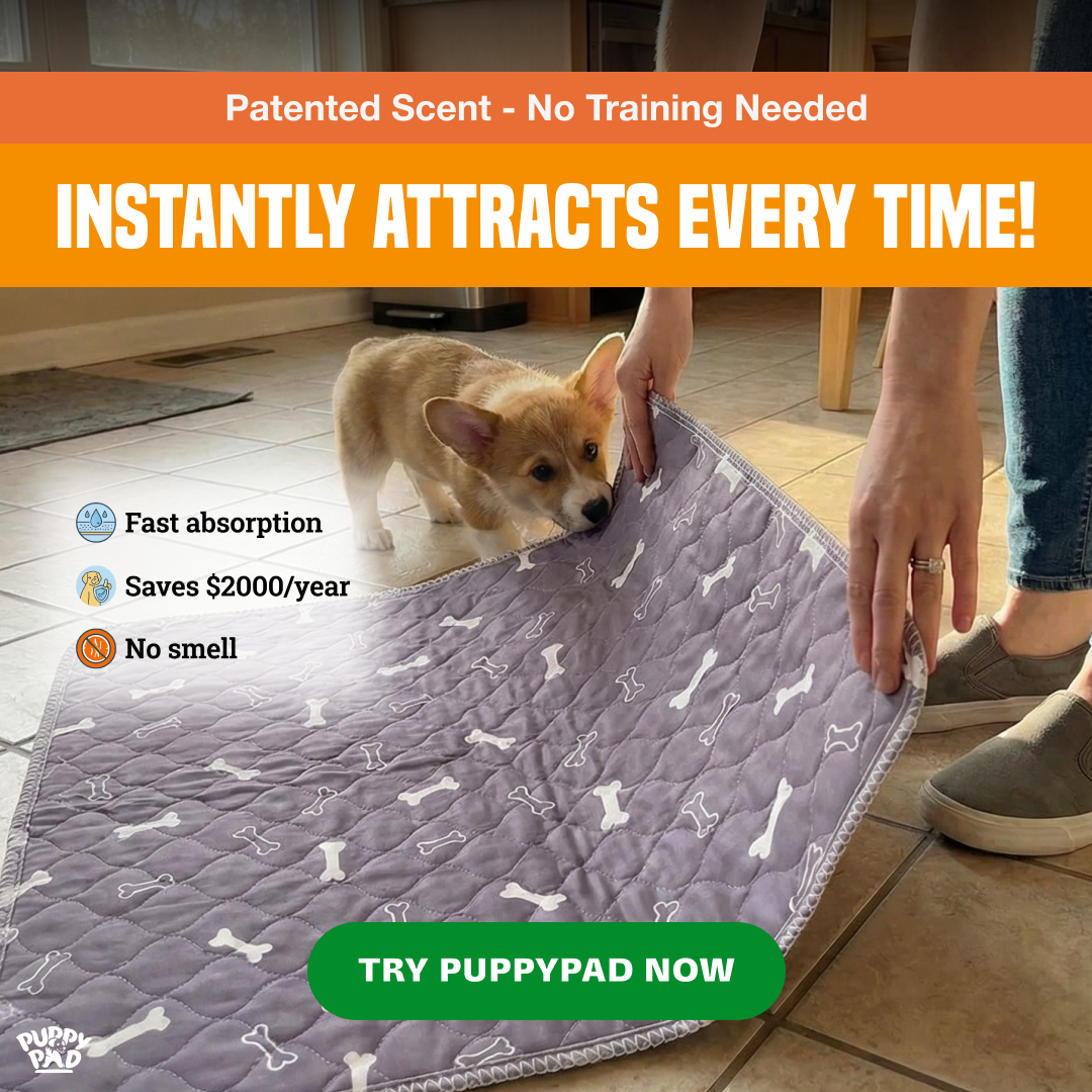 PuppyPad Facebook ad