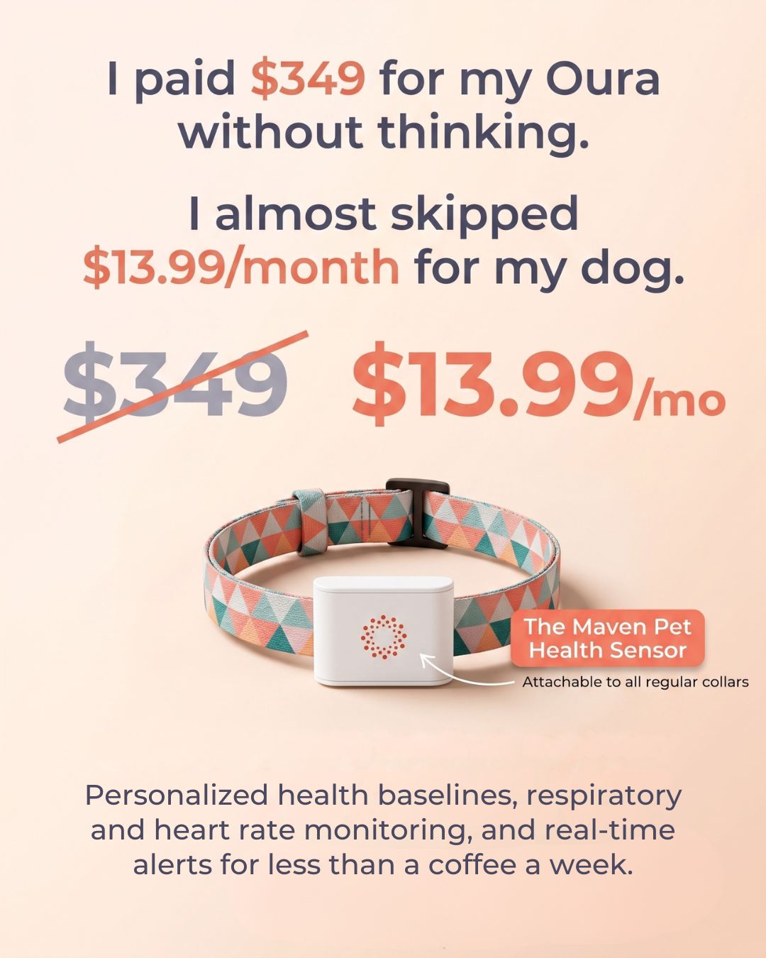 Maven Pet Facebook ad