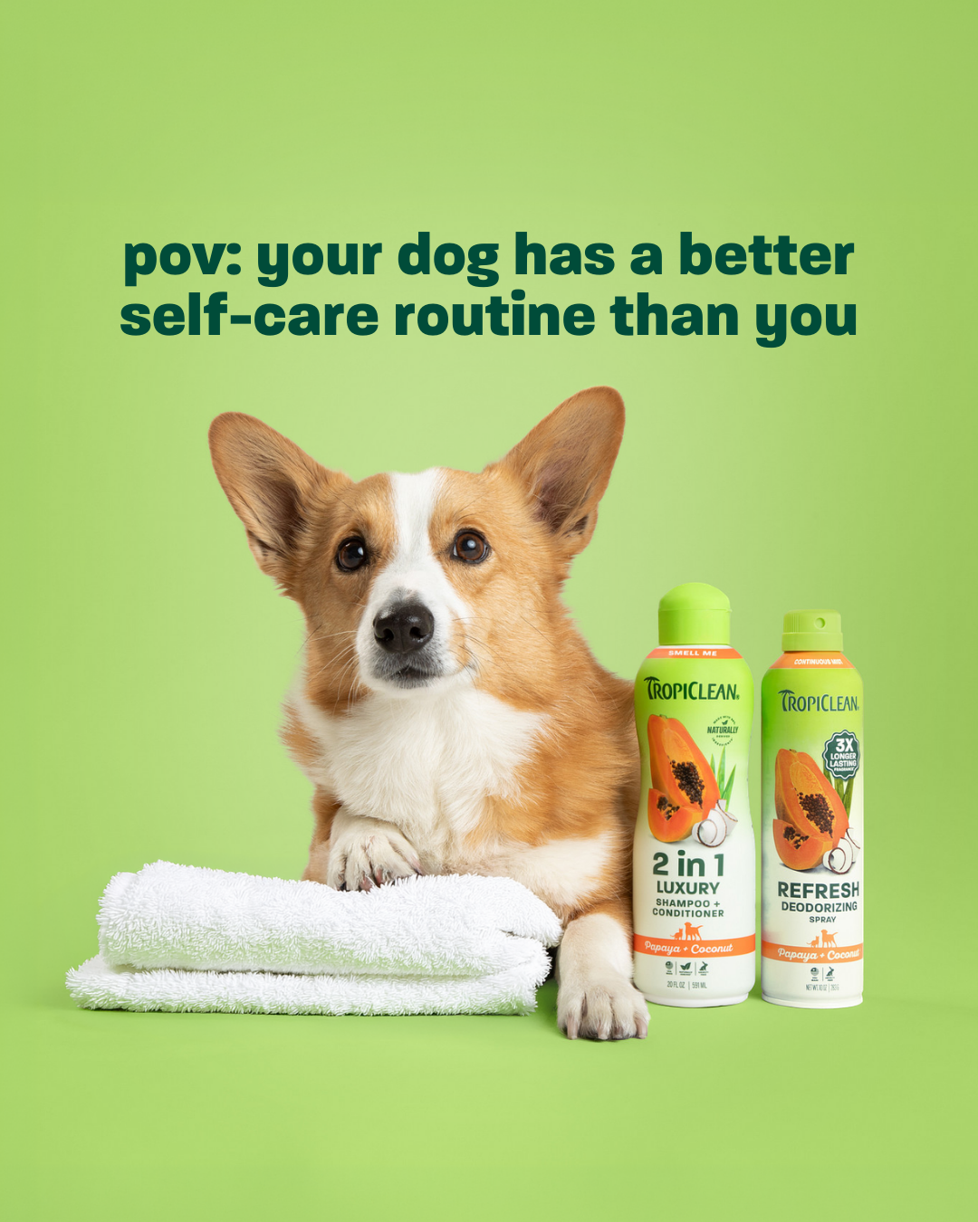 TropiClean Pet Products Facebook ad: 2-in-1 Deep Clean, Simplify bathtime in 1 step!