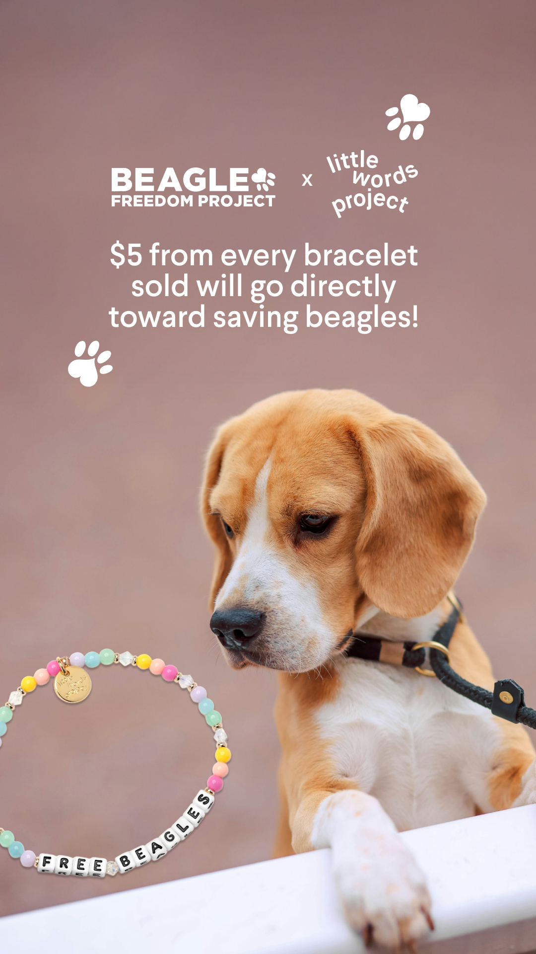Beagle Freedom Project Facebook ad
