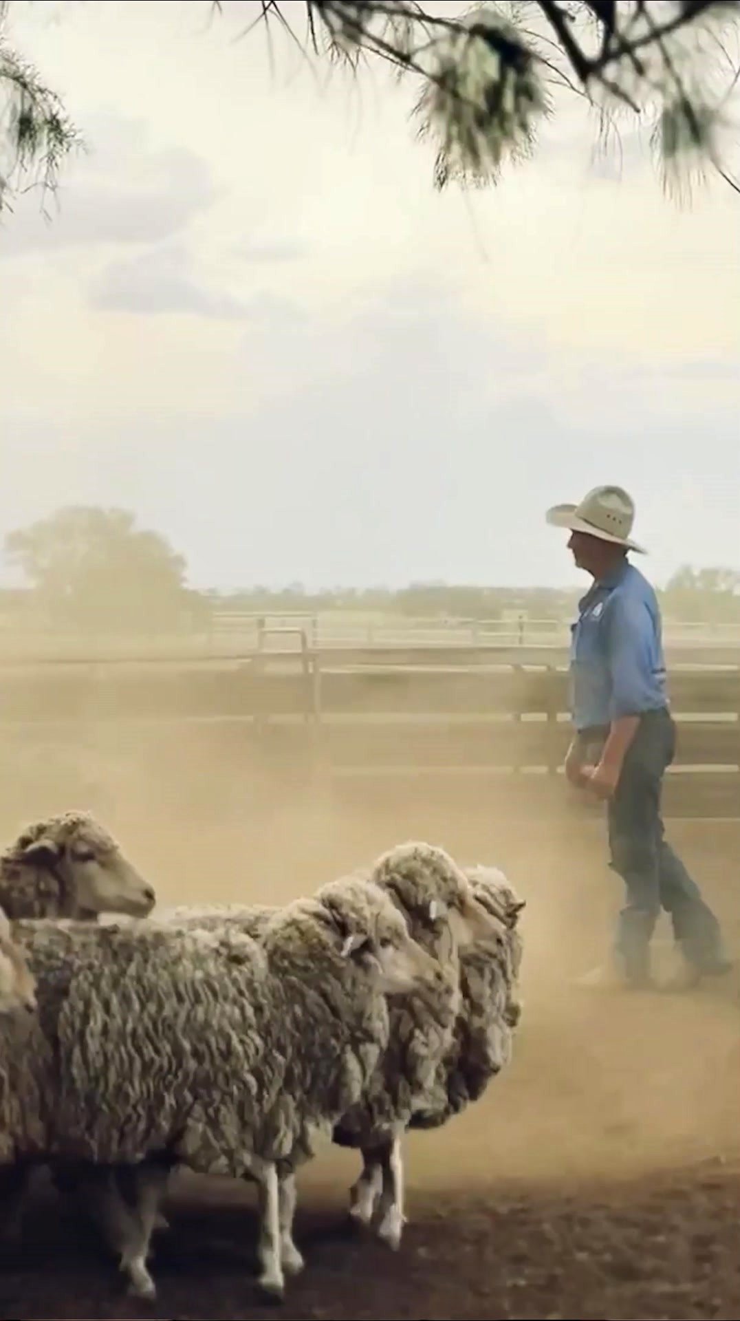 Merino Country Facebook ad: Australian Merino Thermals and Clothing