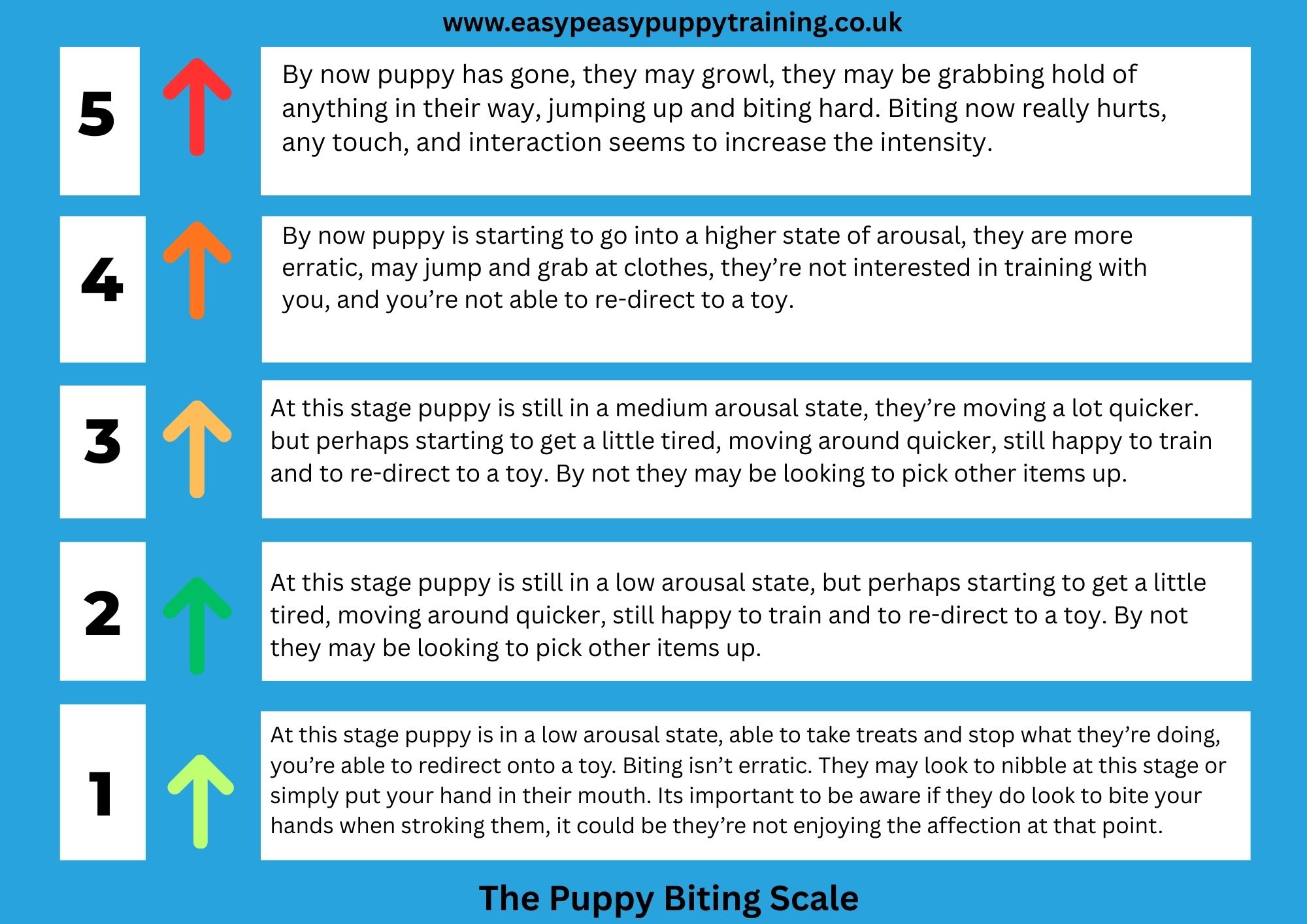 Easy Peasy Puppy Training  Facebook ad