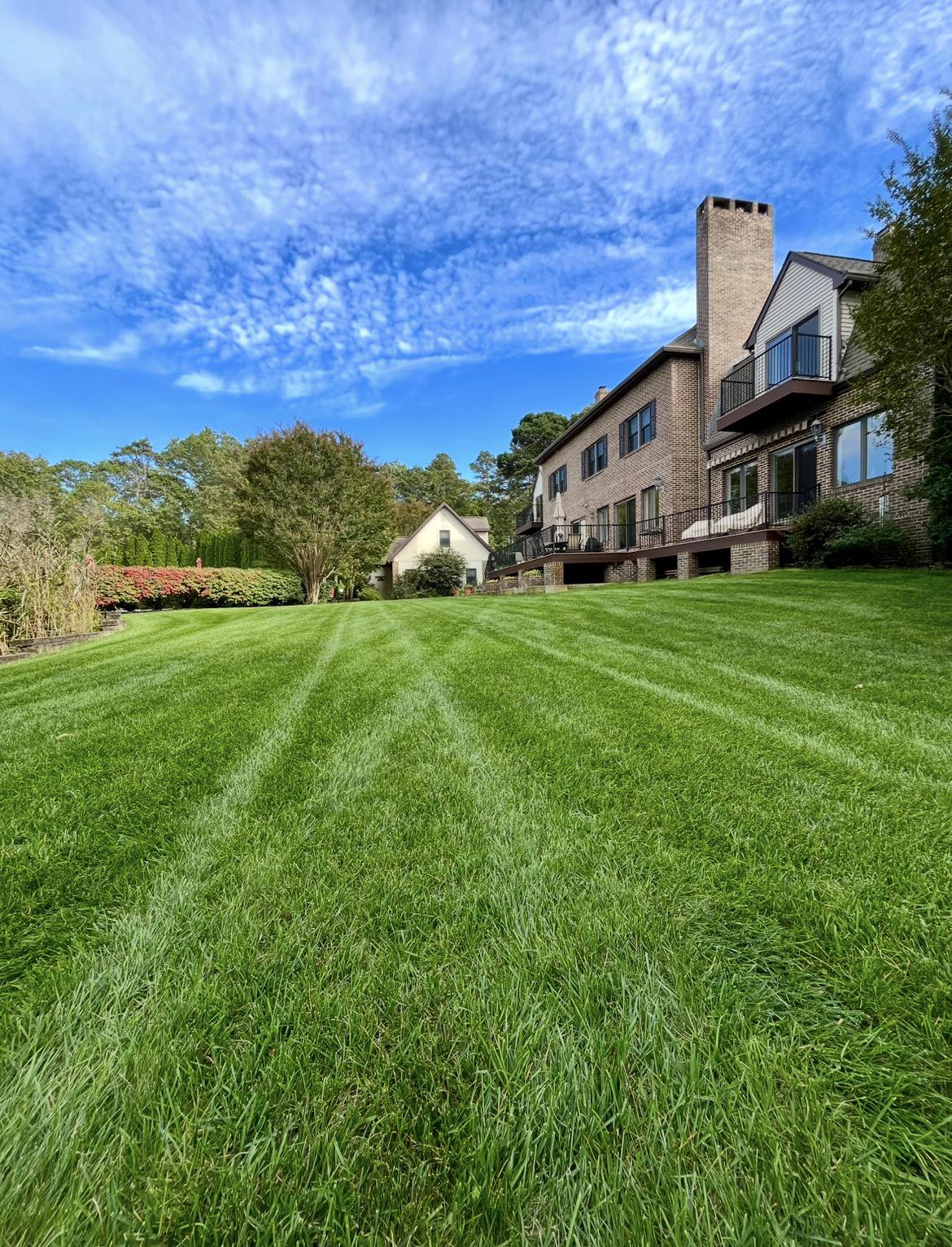 Shore Lawn Facebook ad