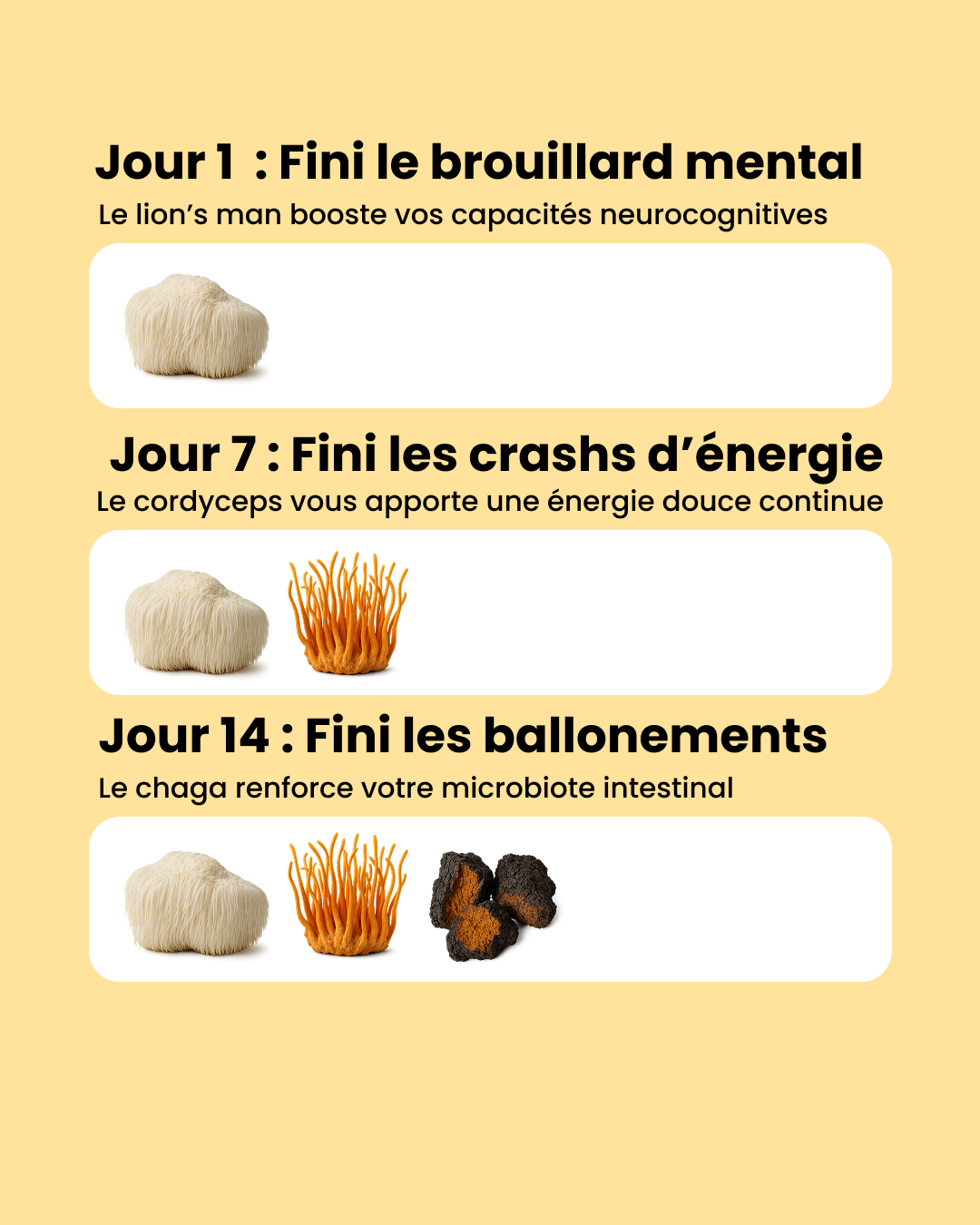 Bonjour Facebook ad