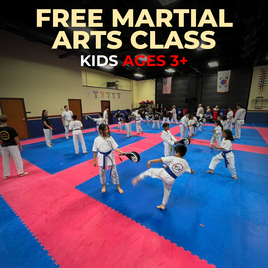 Croft Taekwondo & Haidong Gumdo Academy - Keller Facebook ad: FREE Martial Arts Class For Your Child!