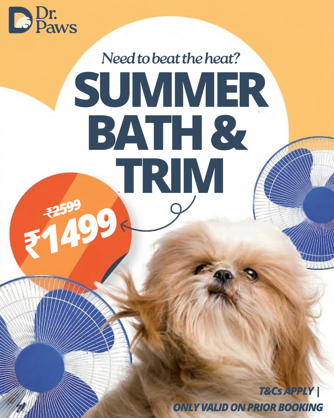 Dr Paws Facebook ad