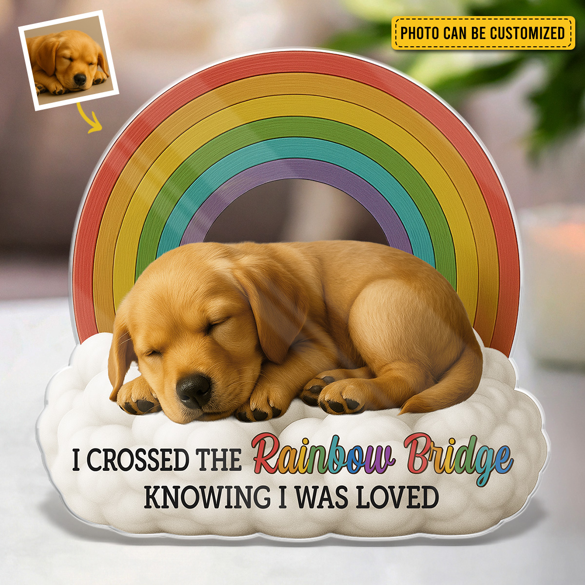 The Pawfect House - Pet Lovers Gift Facebook ad