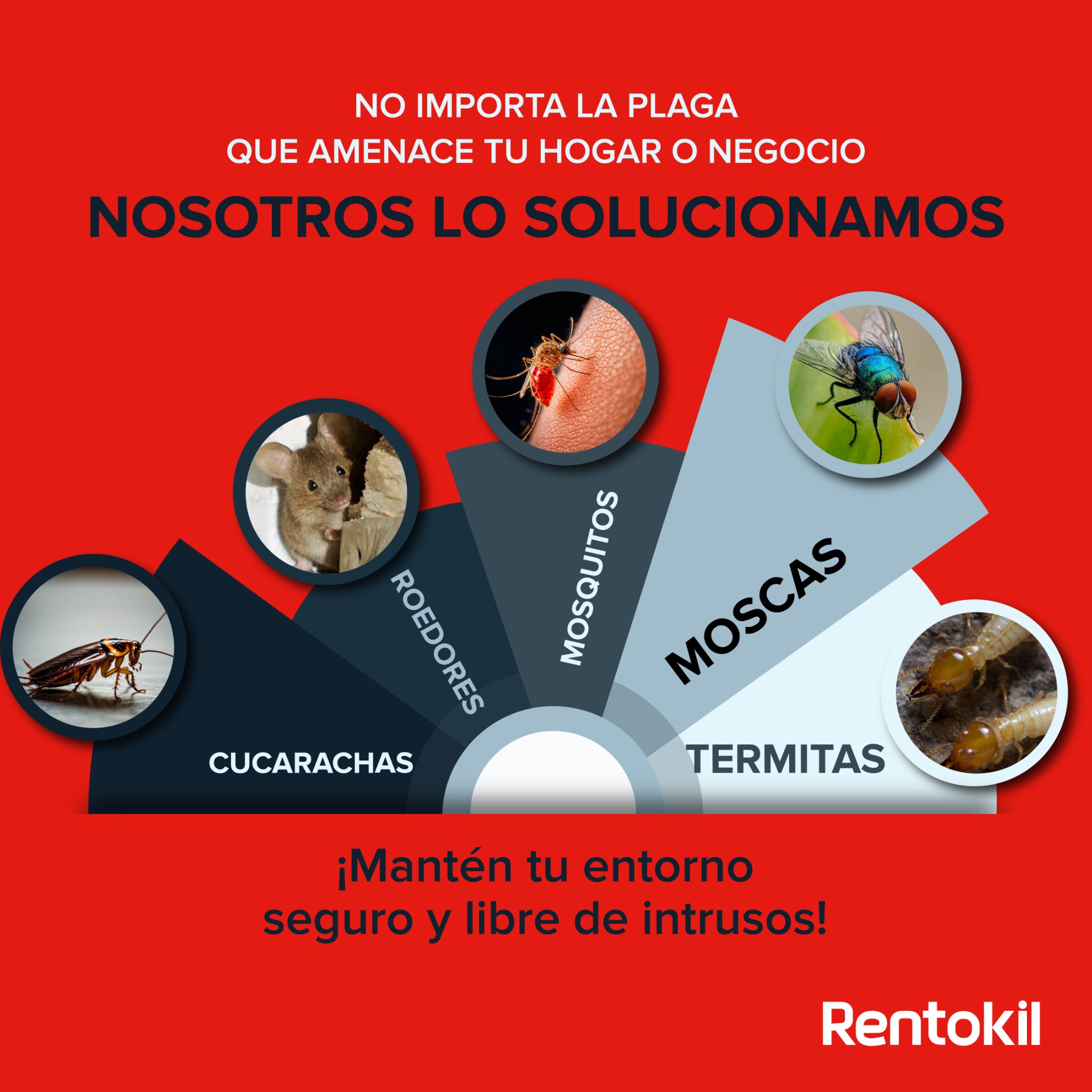 Rentokil El Salvador Facebook ad: ¿Cucarachas, roedores, termitas o mosquitos?