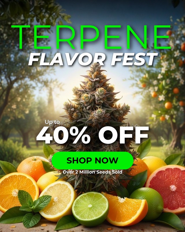 Pacific.Boutique Facebook ad from May 21, 2026