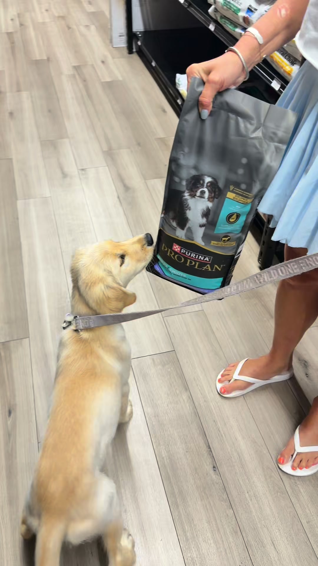 Pet Supermarket Facebook ad: Just Off Cypress Pkwy