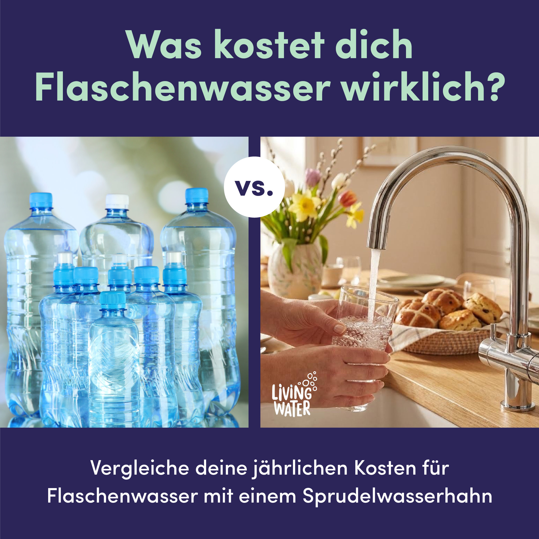 Living Water Facebook ad