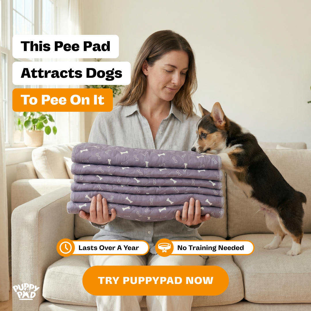 PuppyPad Facebook ad
