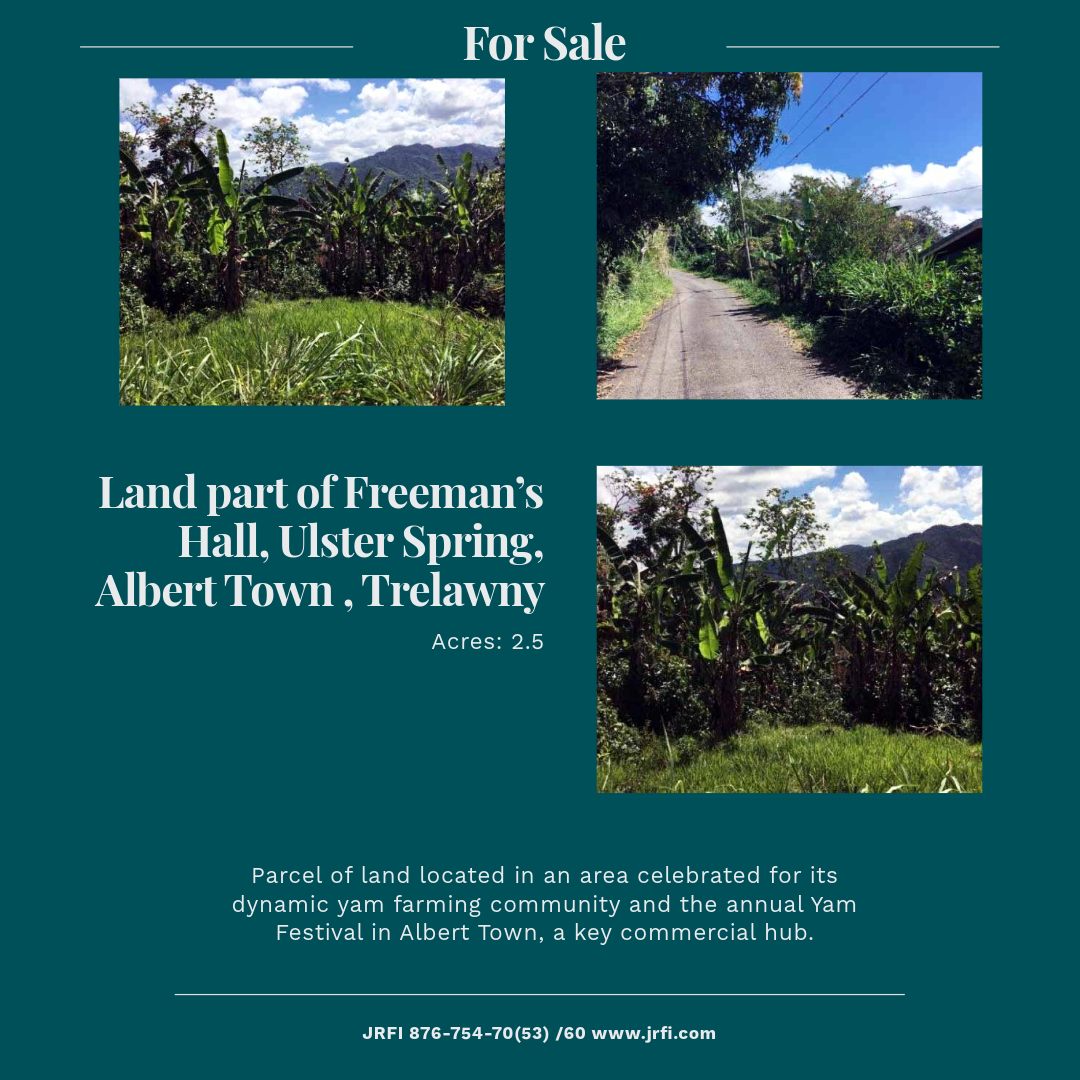 Jamaican Redevelopment Foundation INC. Facebook ad: Listing #: 3180, Land part of Freeman’s Hall, Ulster Spring