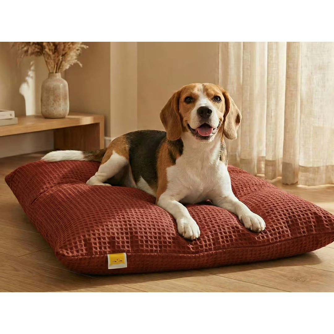 SleepyCat Facebook ad: Durable & super easy to maintain pet beds.