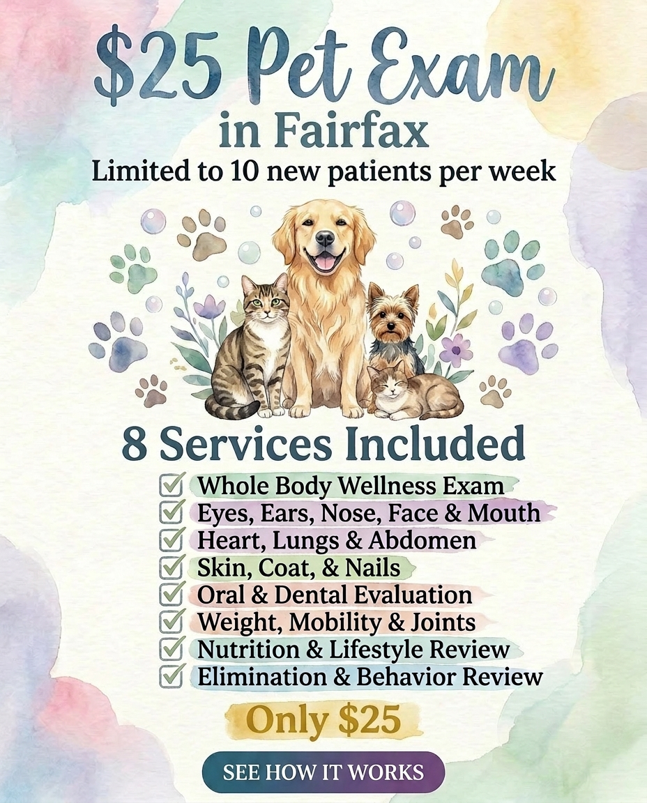 Tango Animal Hospital Facebook ad: Fairfax Pet Exam for $25