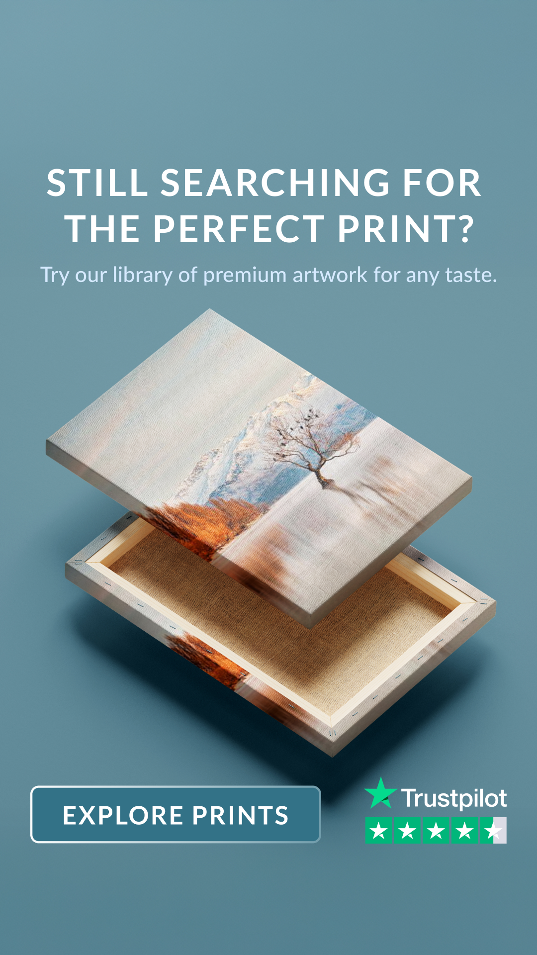 Canvas Factory Facebook ad