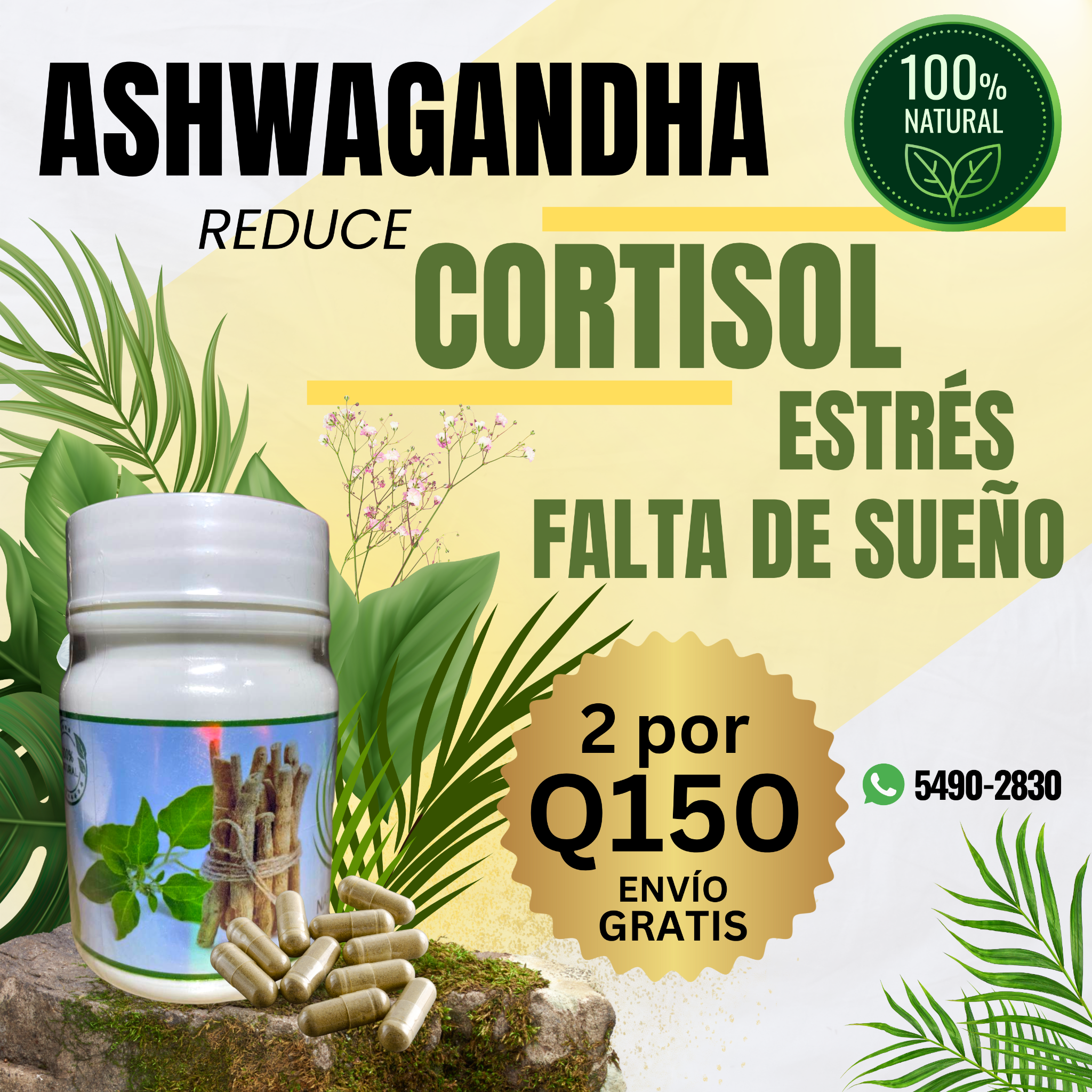 Natural Point GT Facebook ad: ASHWAGANDHA