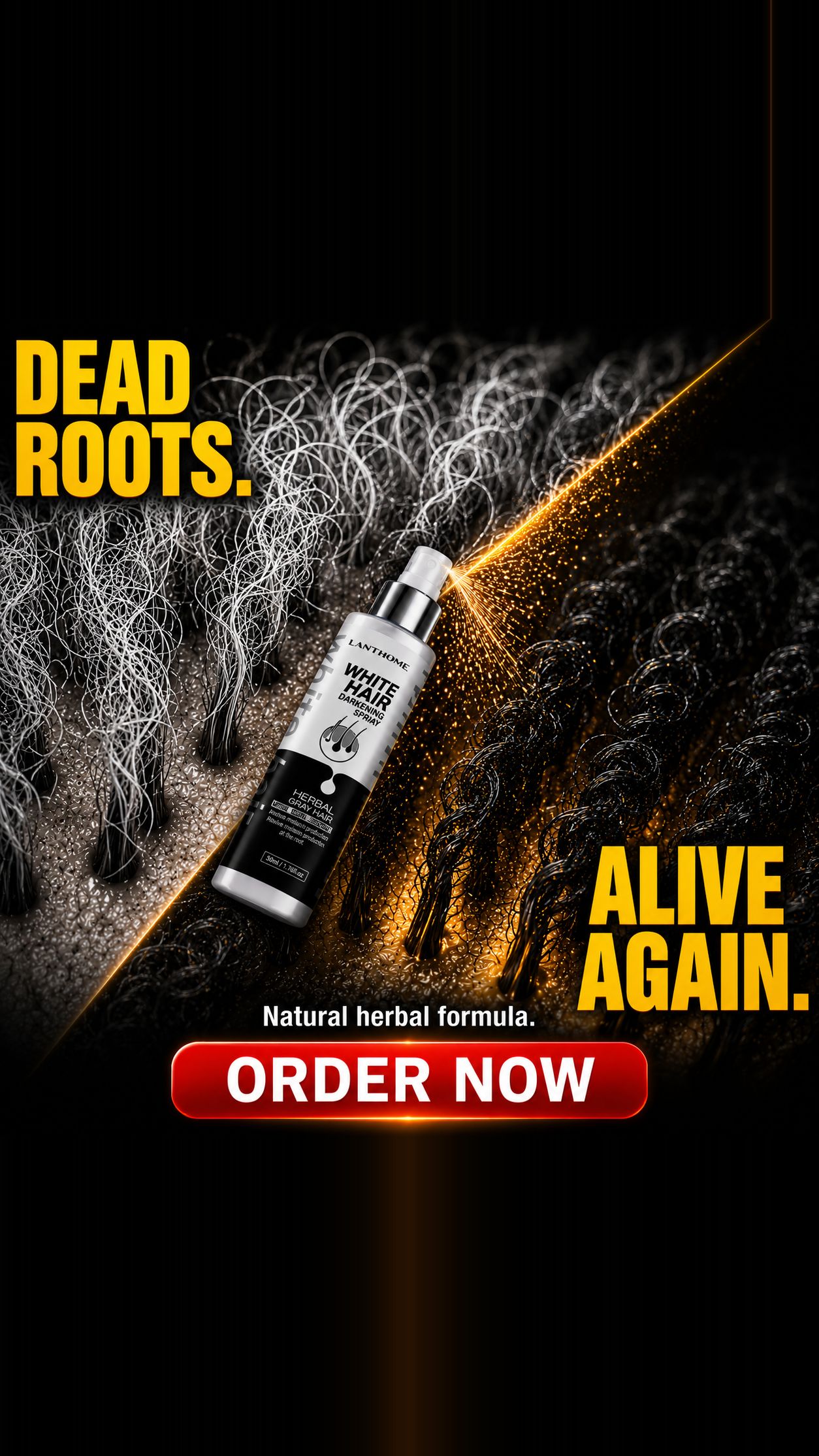 RexaBuy Facebook ad from May 31, 2026