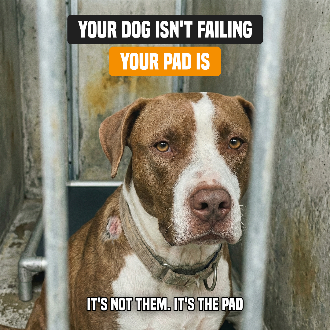 PuppyPad Facebook ad