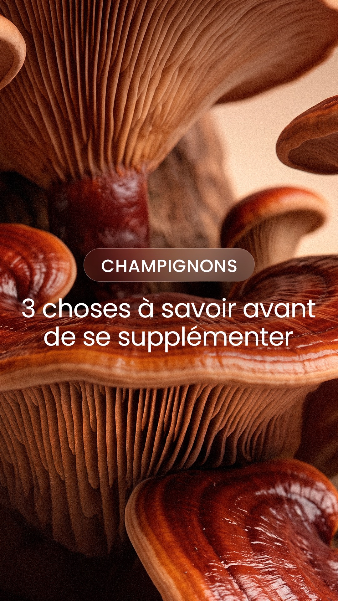 Nutri&Co Facebook ad: Reishi, Lion’s Mane, Cordyceps… Savez-vous vraiment ce qui…