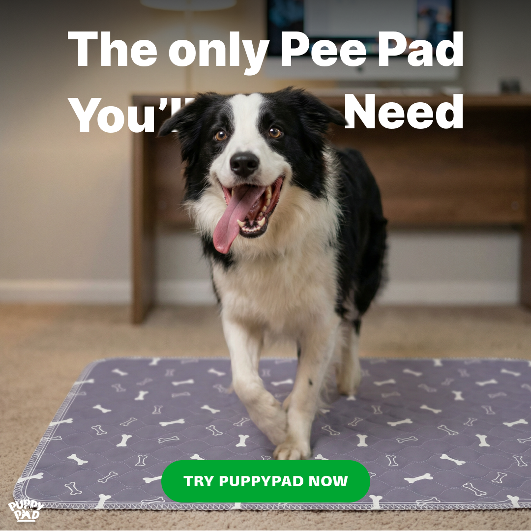 PuppyPad Facebook ad
