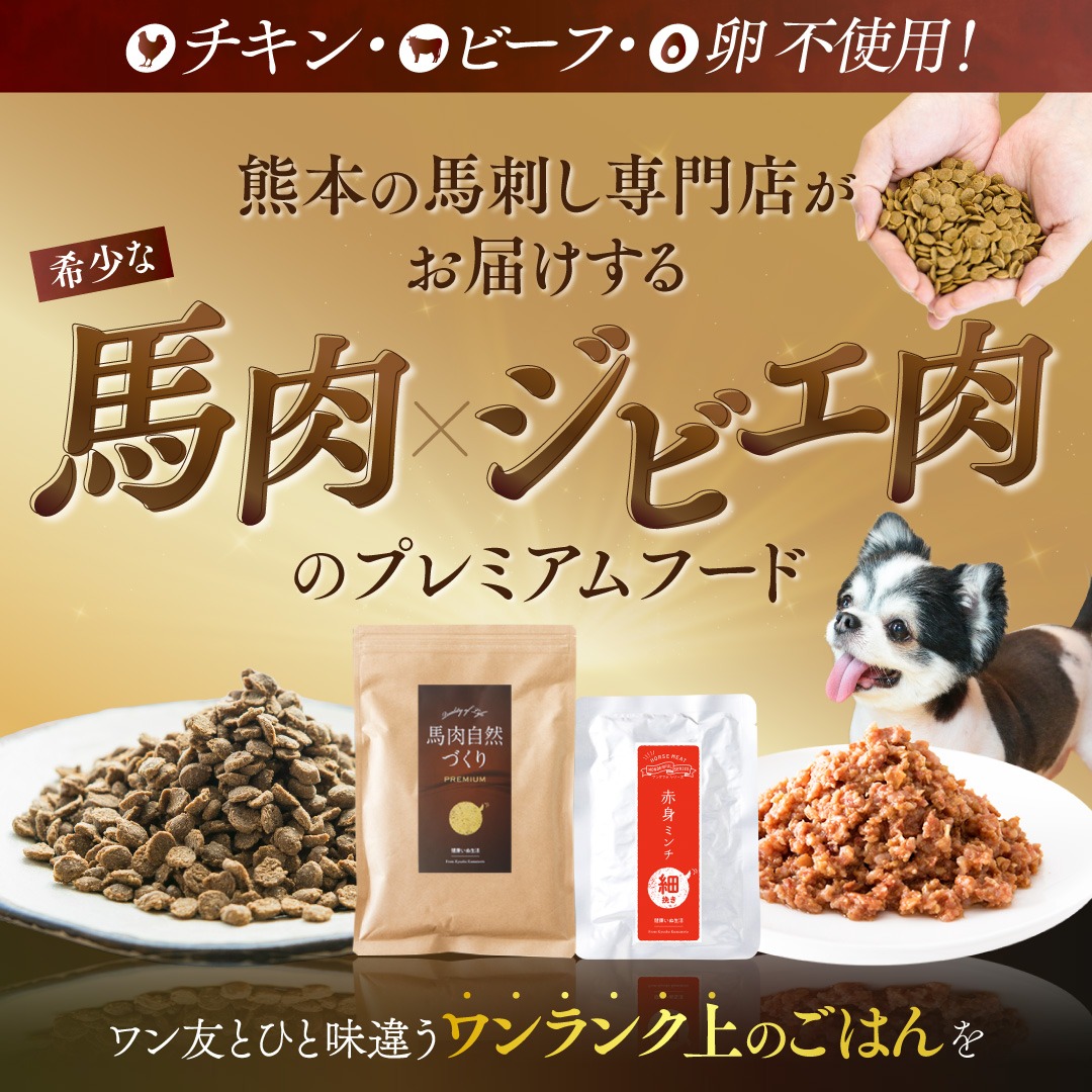 健康いぬ生活 Facebook ad