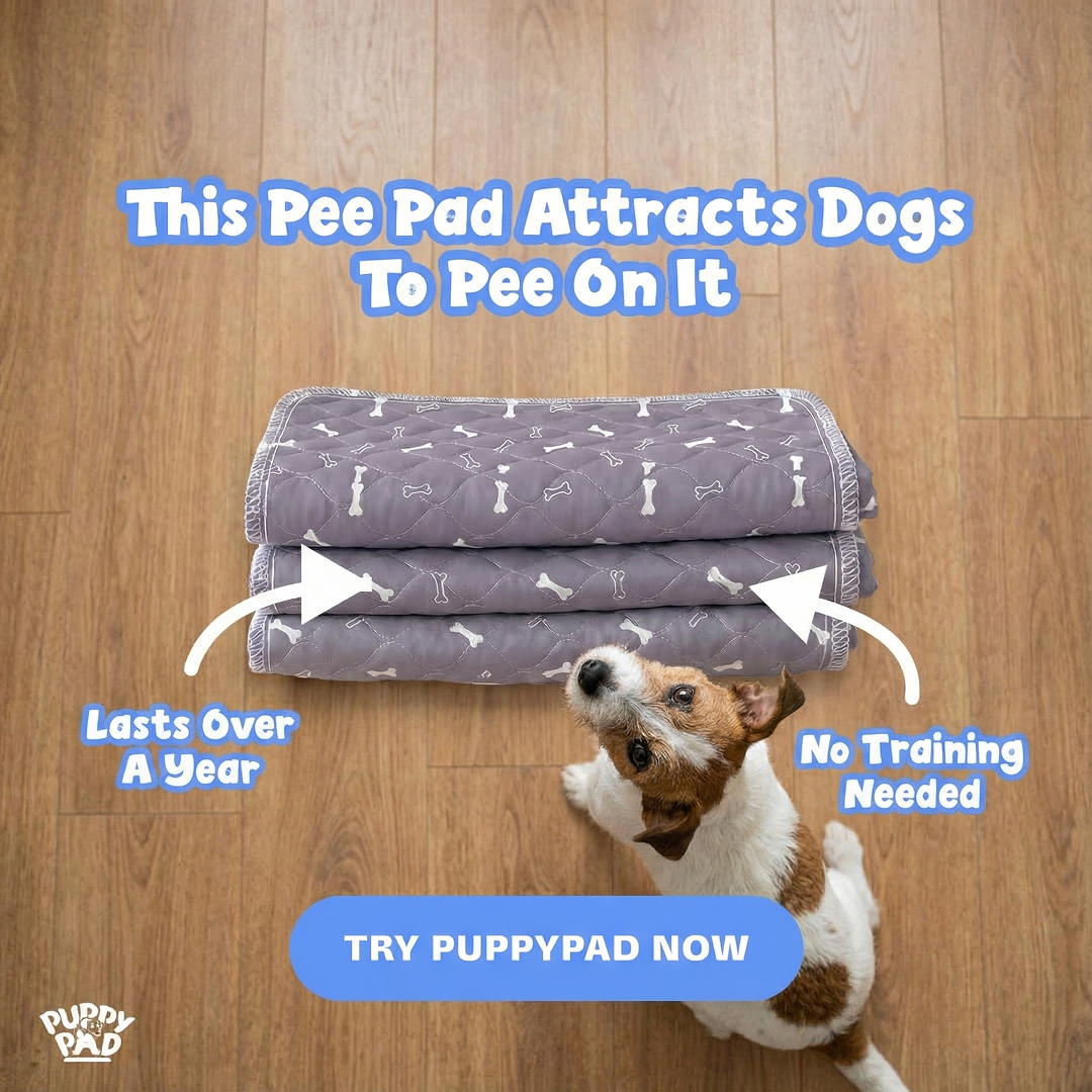 PuppyPad Facebook ad