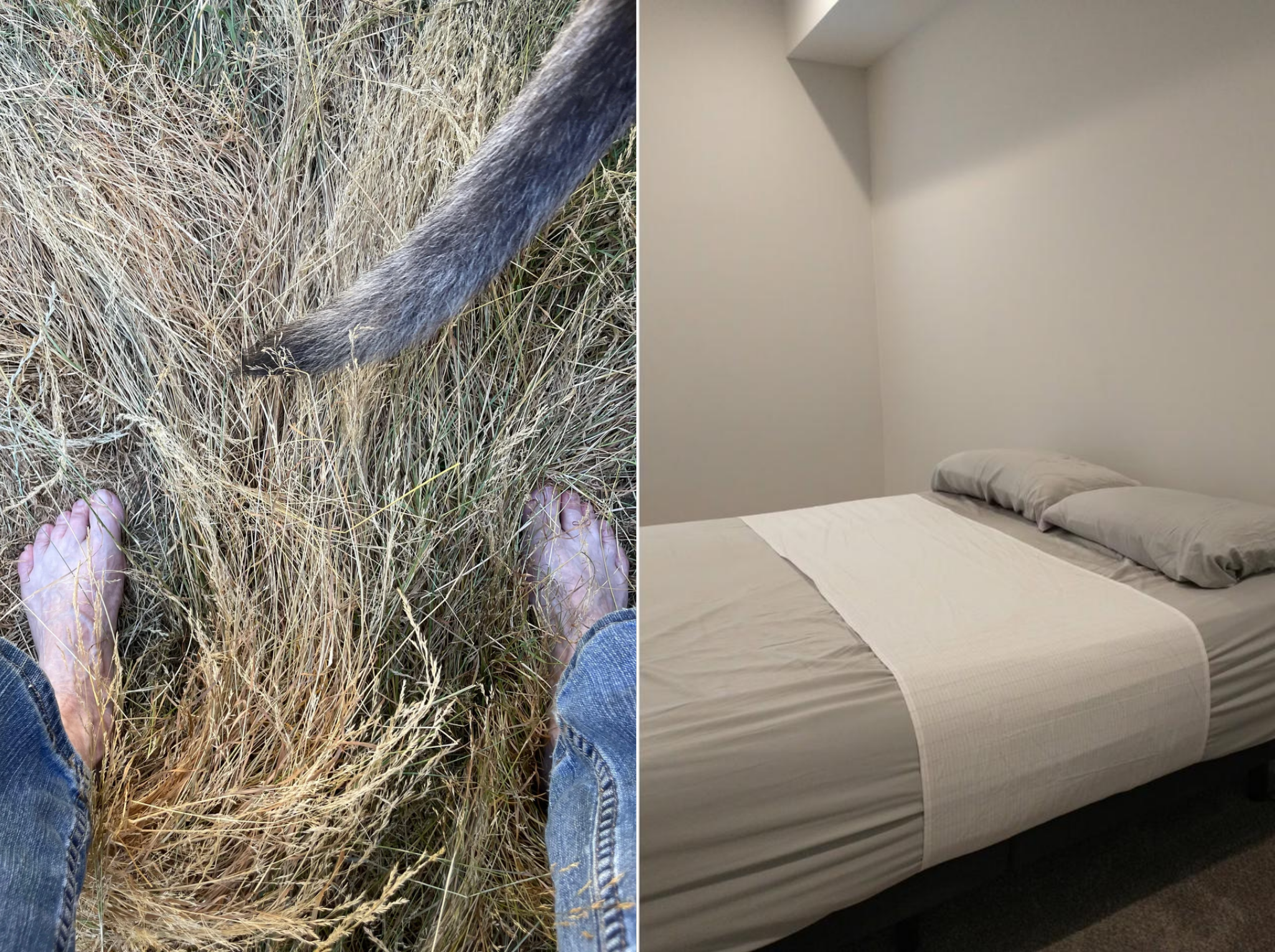Greg Becker Facebook ad: Get Grounded While You Sleep!