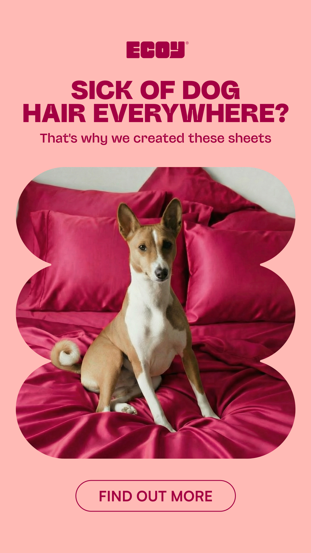 Ecoy Facebook ad