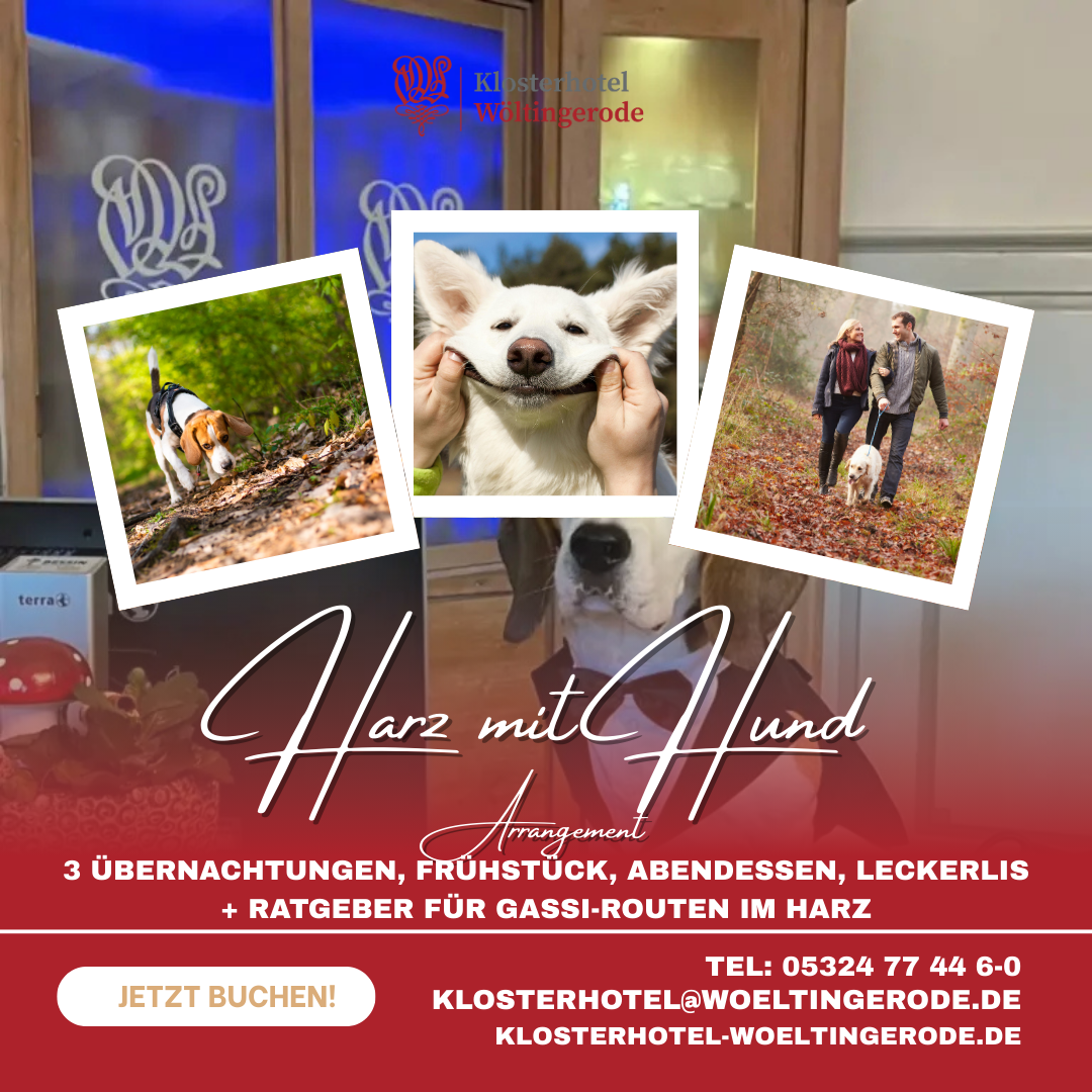 Klosterhotel Wöltingerode Facebook ad: Ob romantische Auszeit, Familienurlaub oder Kurztrip in den…