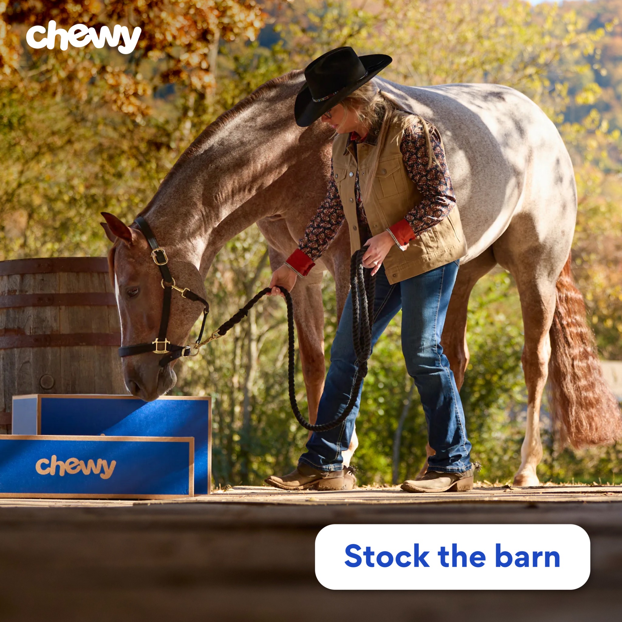 Chewy Facebook ad: Fall horse care