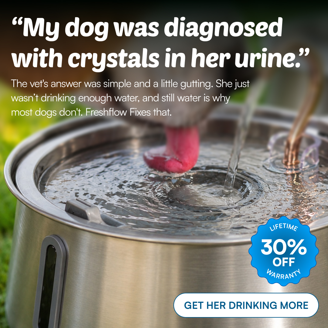 Rhykin Pet Co Facebook ad
