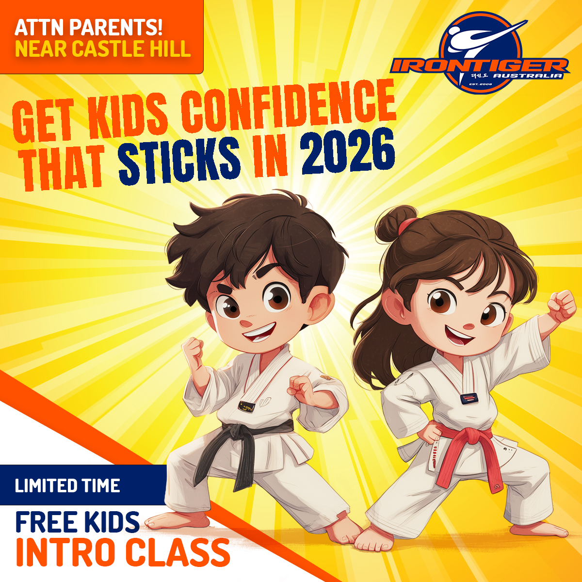 Irontiger Taekwondo Facebook ad: FREE Kids Martial Arts Trial Class