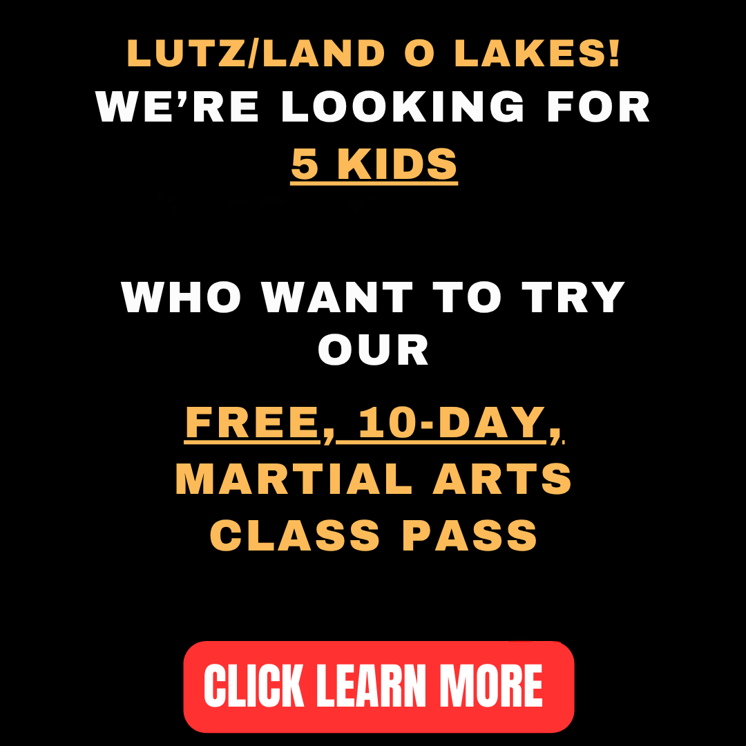 Krav Maga Martial Arts Facebook ad: Want a FREE 10-Day, Kids Martial Arts Class Pass?