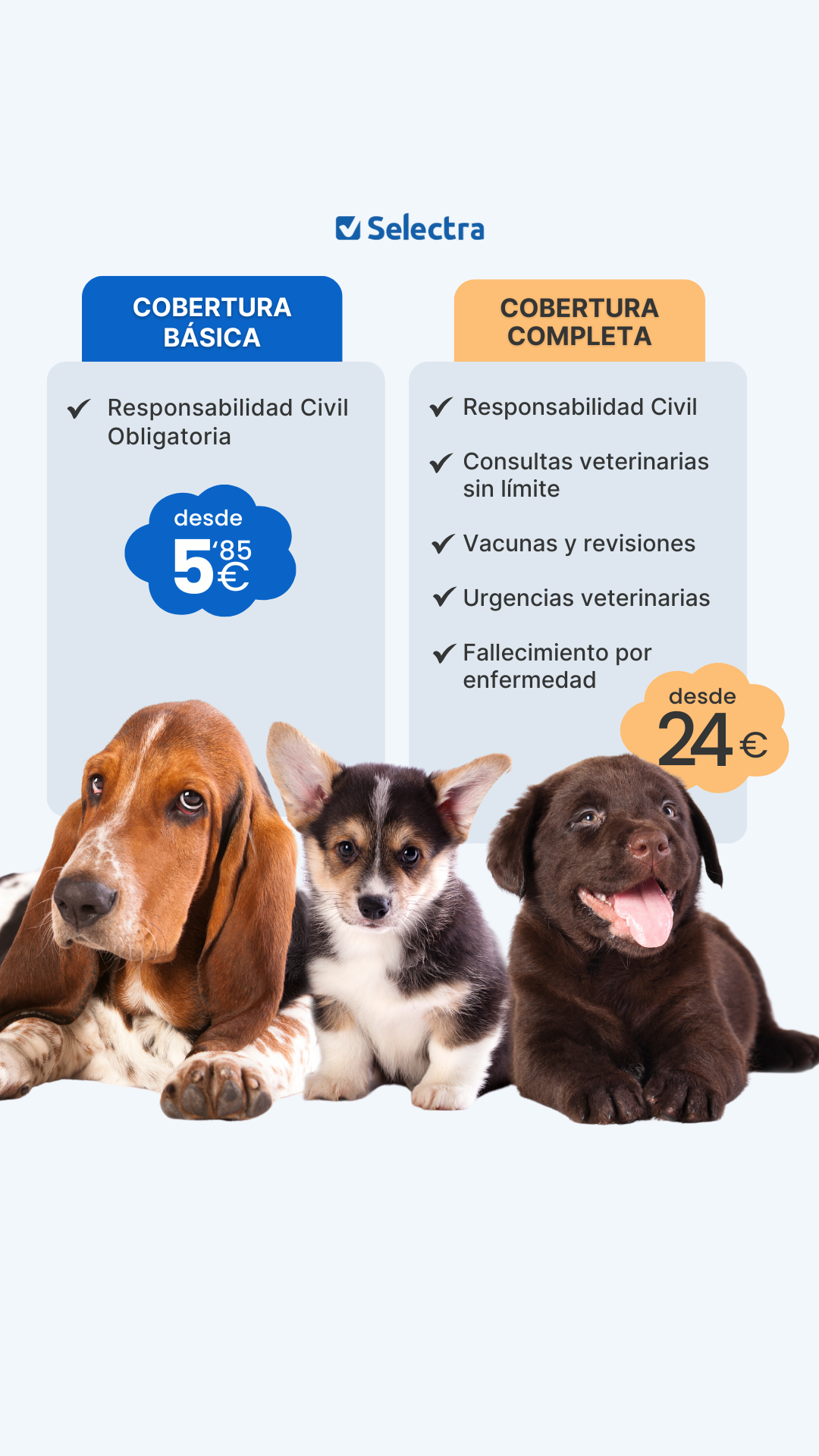 Selectra Facebook ad: Comparador de precios