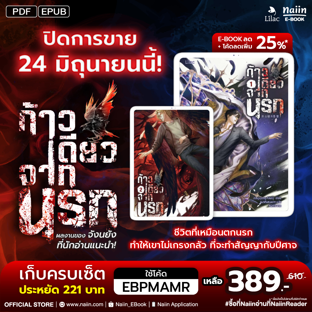 Naiin E-Book Facebook ad