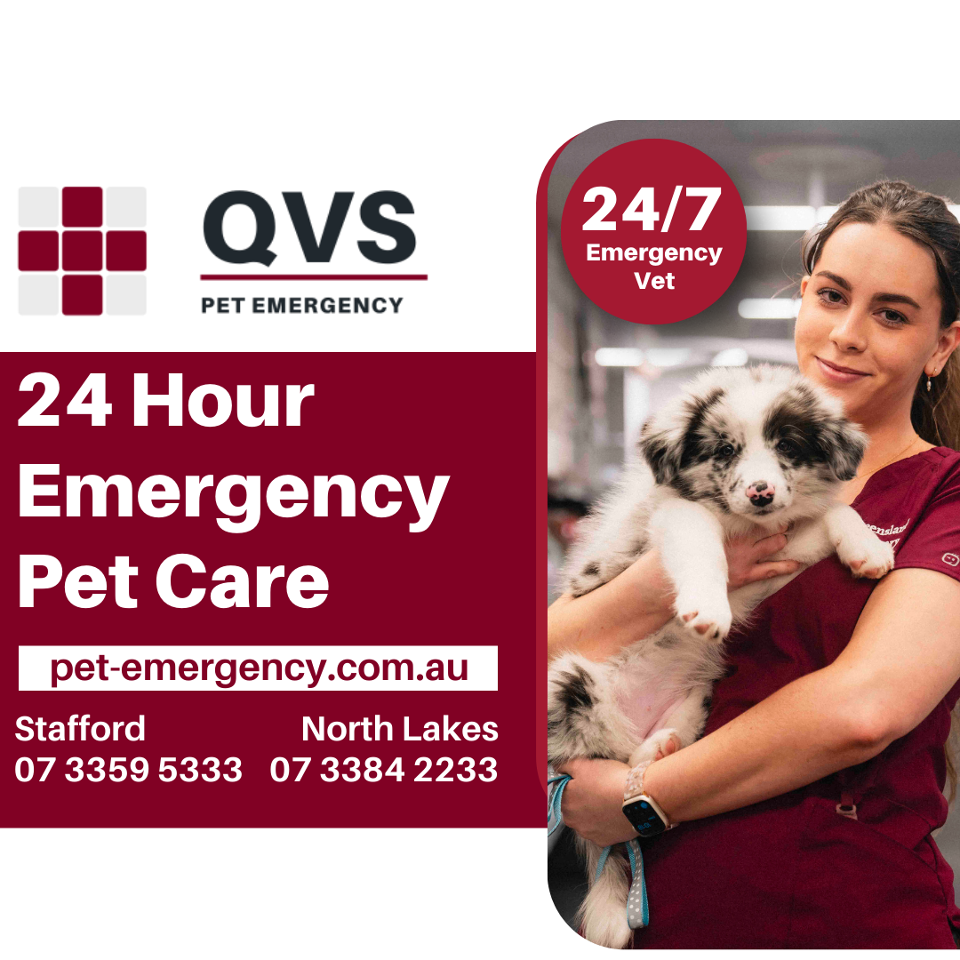 Queensland Veterinary Specialists Facebook ad