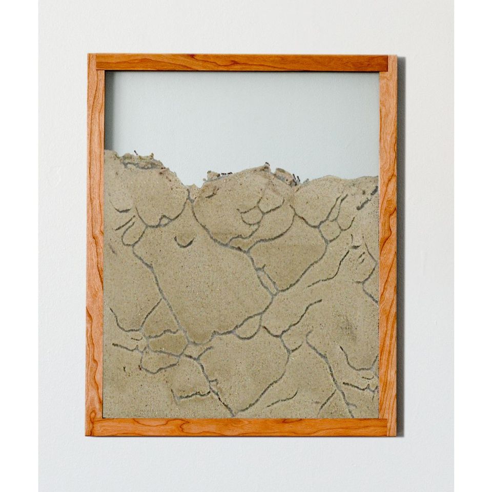 Wall Colony Facebook ad: Step into the fascinating world of ants with…
