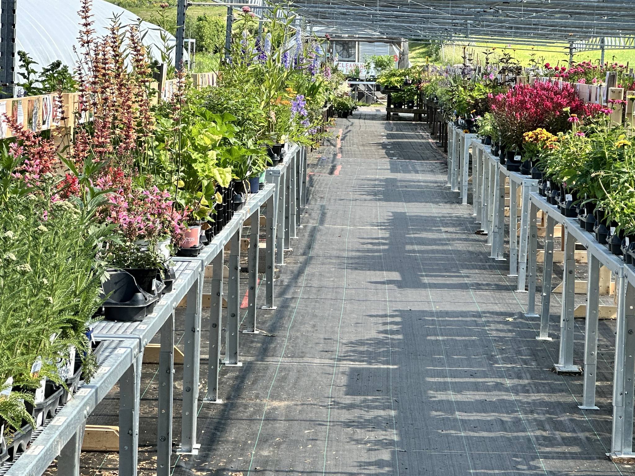 Blomidon Nurseries Facebook ad: Home - Retail
