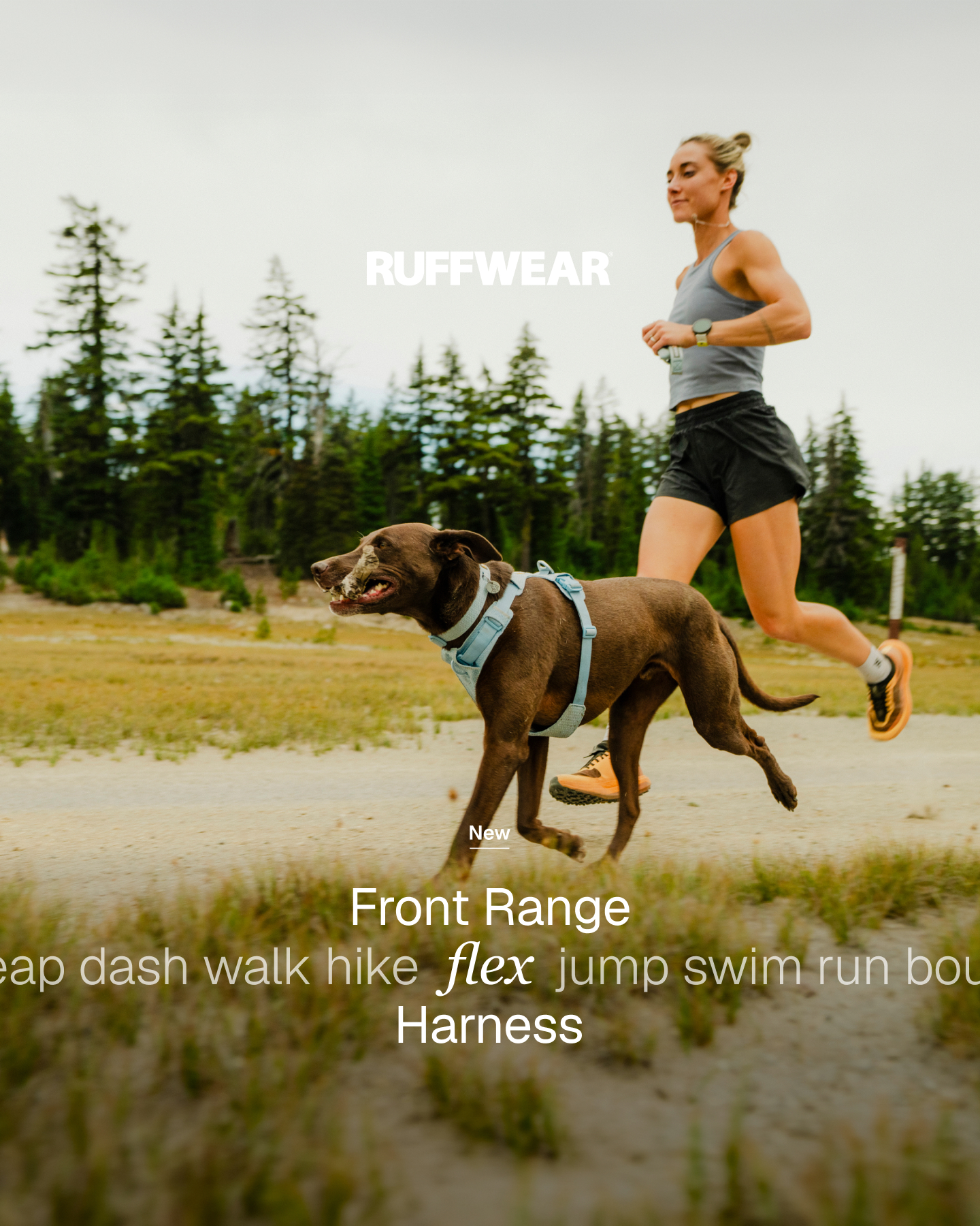 Ruffwear Facebook ad