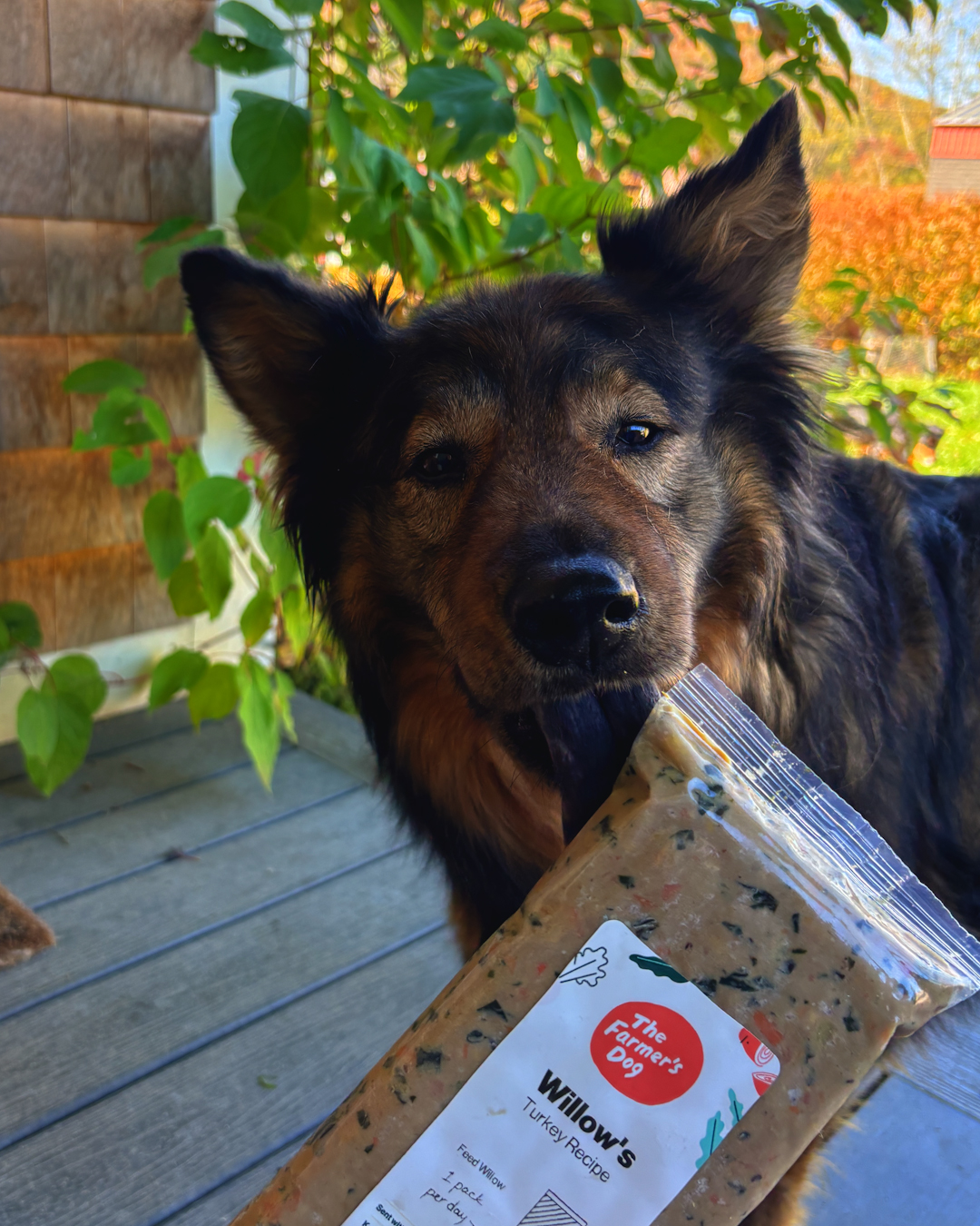 Ultimate Dog Parent Guide Facebook ad