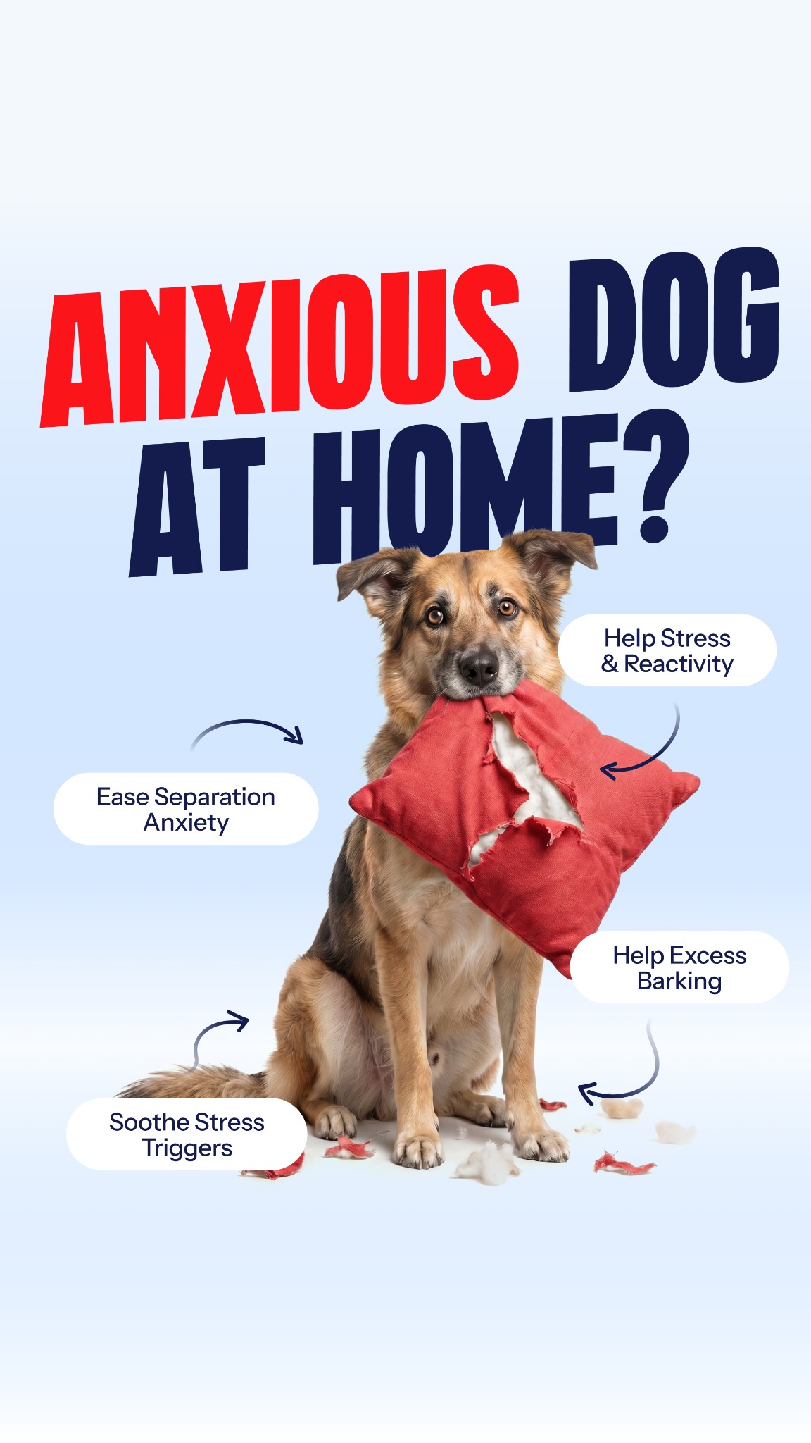 Helio Pet Facebook ad