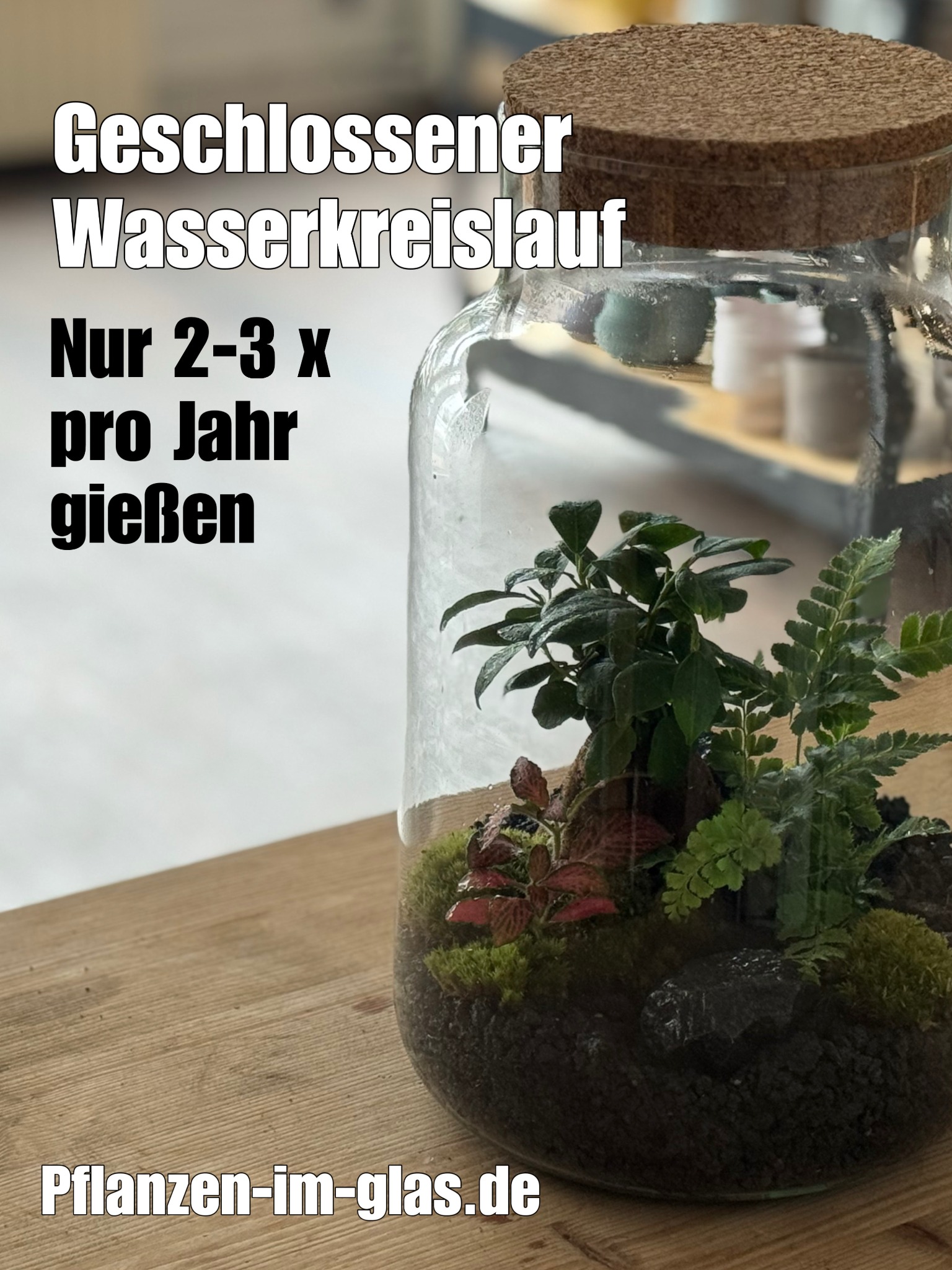 pflanzenimglas Facebook ad