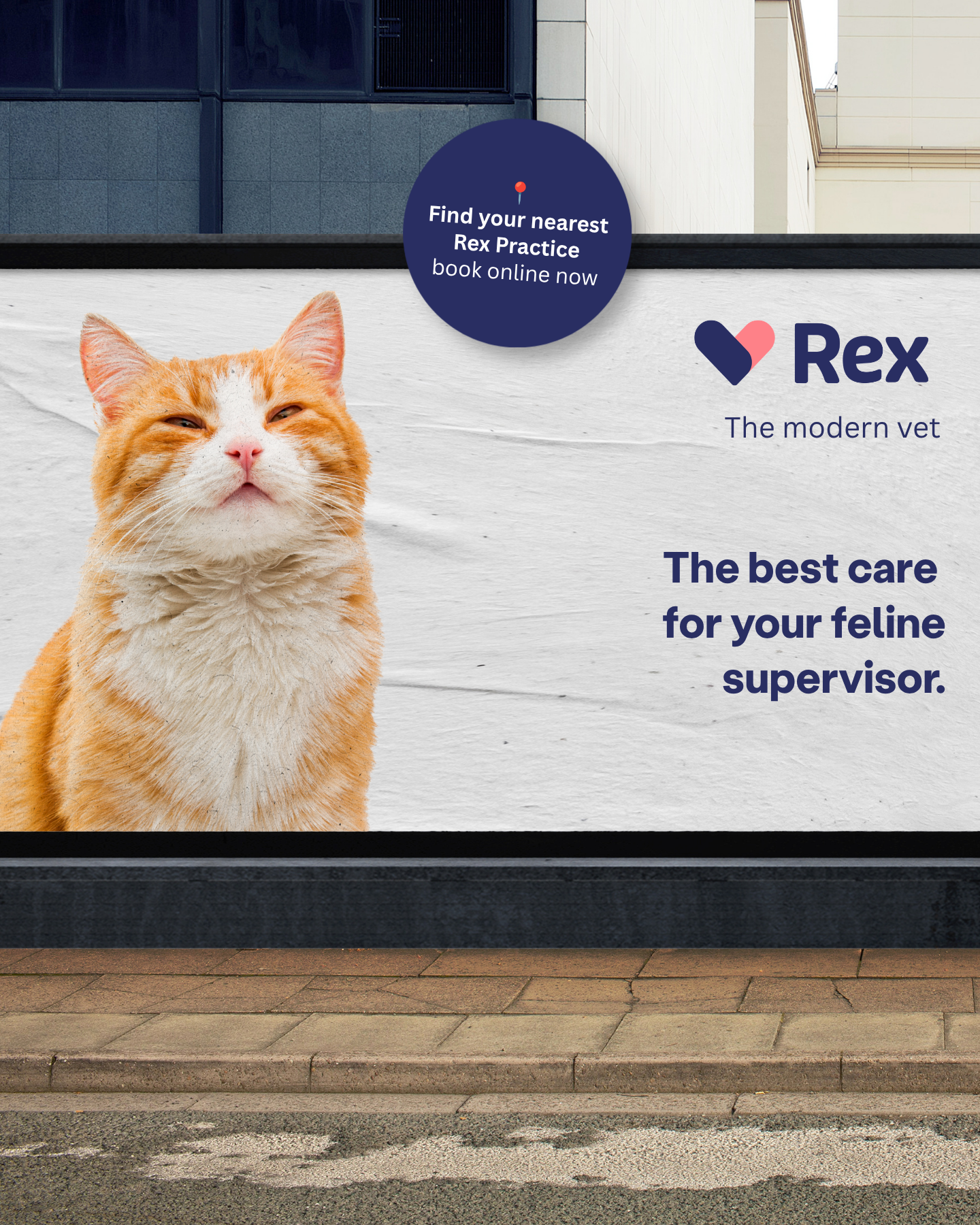 Rex Facebook ad from Aug 4, 2026