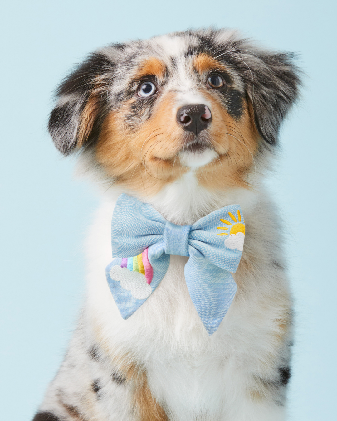 The Foggy Dog Facebook ad