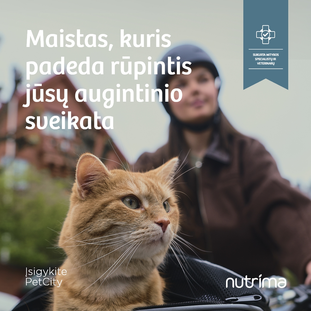 PetCity Lietuva Facebook ad