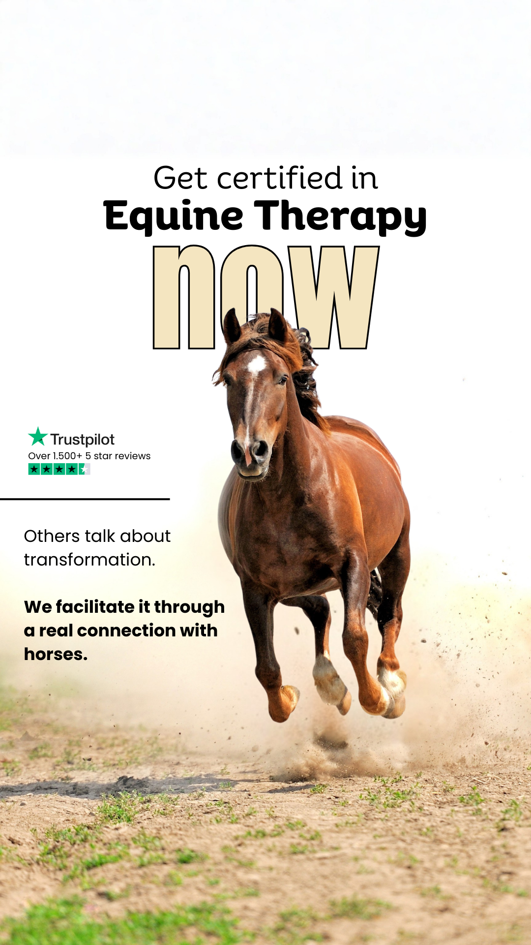 Efficient Therapist Facebook ad