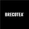 Brecotea