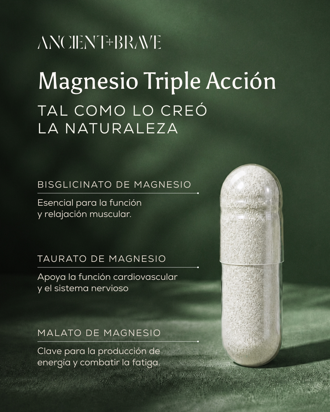 Ancient + Brave Facebook ad: MAGNESIO TRIPLE ACCIÓN PARA TU BIENESTAR